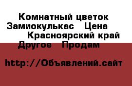 Комнатный цветок Замиокулькас › Цена ­ 1 800 - Красноярский край Другое » Продам   